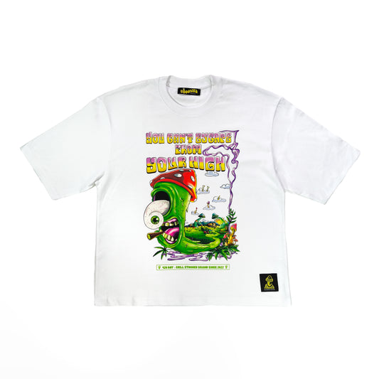 T-SHIRT - 420 DAY